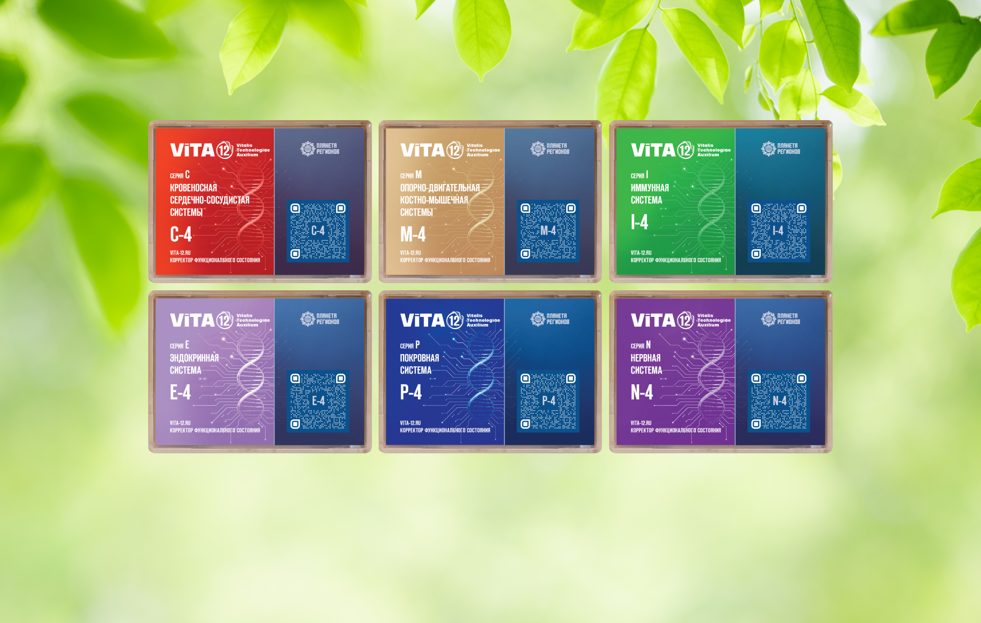«ViTA-12»  РАСШИРЕНИЕ АССОРТИМЕНТА КФС В СИСТЕМАХ C, E, I, M, N, P